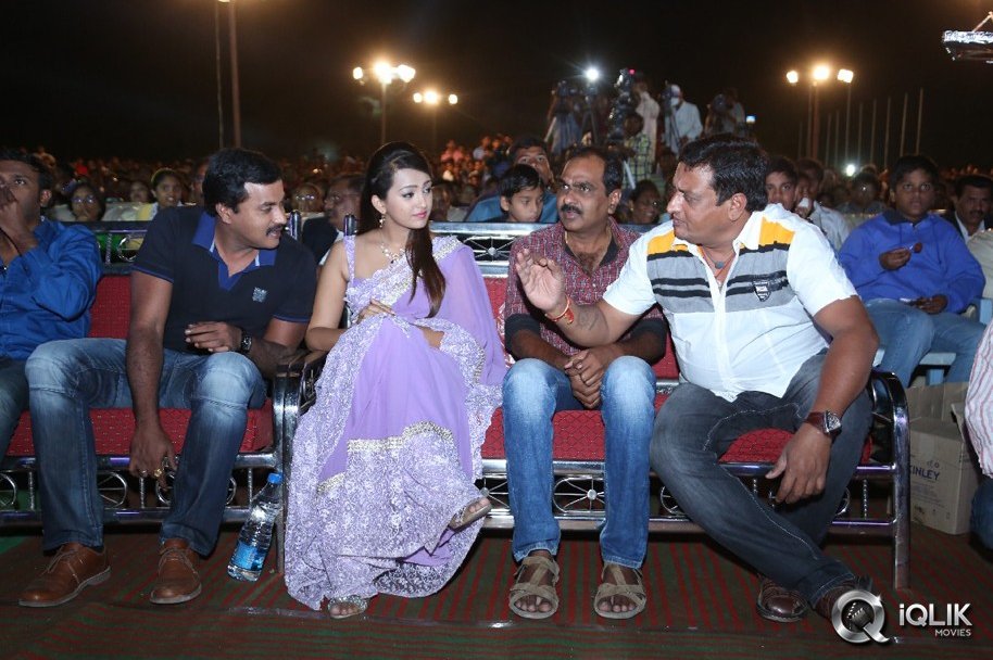 Bheemavaram-Bullodu-Platinum-Disc-Function